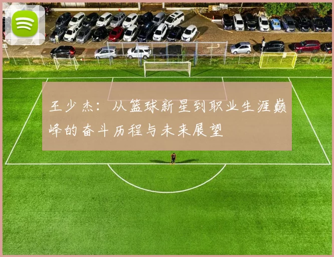 王少杰：从篮球新星到职业生涯巅峰的奋斗历程与未来展望