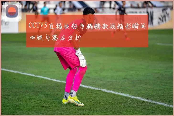 CCTV5直播快船与鹈鹕激战精彩瞬间回顾与赛后分析